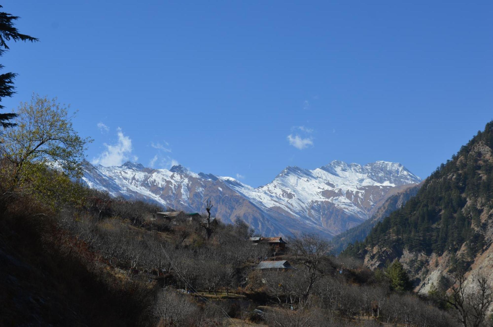 Laxmi Narayan Homestay-Harshil Harsil Екстер'єр фото