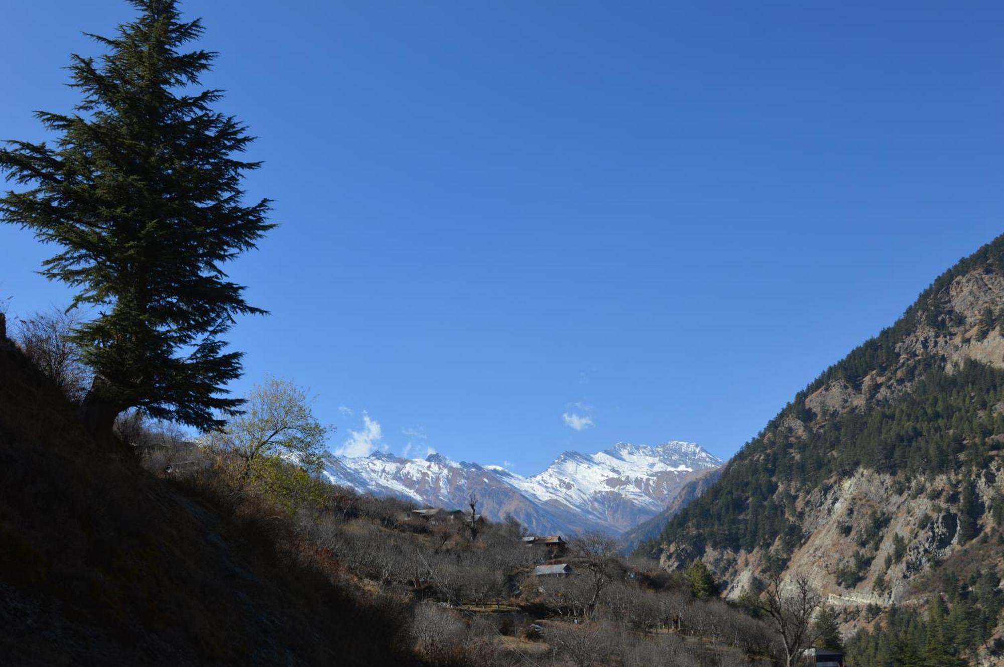 Laxmi Narayan Homestay-Harshil Harsil Екстер'єр фото